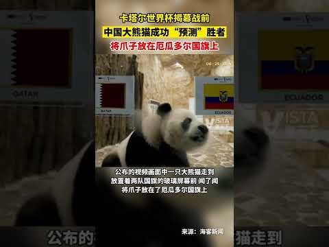 百家乐幸运,资讯,百家乐幸运6,百家乐幸运6,百家乐攻略,赌场技巧,提高胜率,在线百家乐,百家乐胜率,赌场胜利
